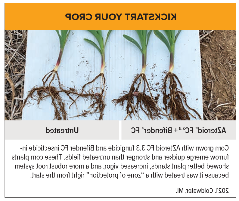 AZteroid + Bifender corn side by side